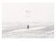 Adelie: Eismeer - Eisland