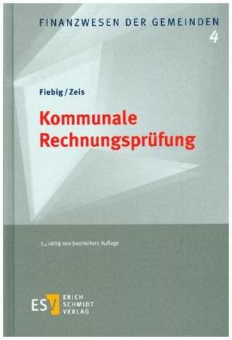 Kommunale Rechnungsprüfung