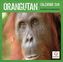 Orangutan 2019