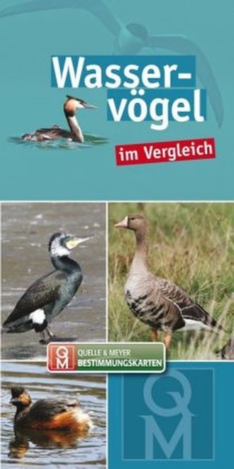 Wasservögel, Bestimmungskarten