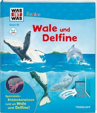 Wale und Delfine