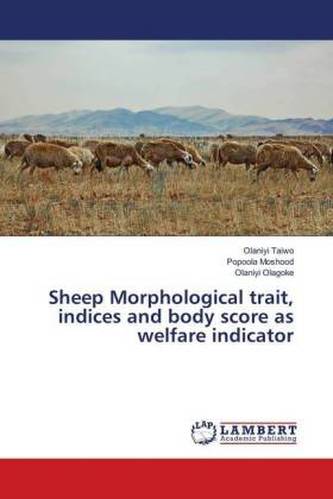 Sheep Morphological trait, indices and body score as welfare indicator Sheep Morphological trait, indices and body score as welfare indicator