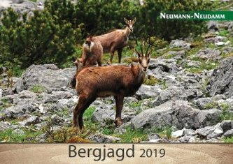 Bergjagd 2019