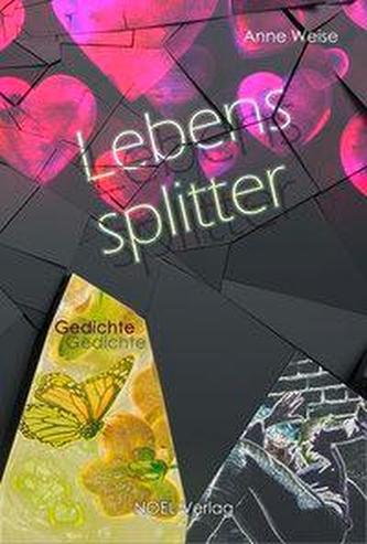 Lebenssplitter