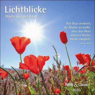 Lichtblicke 2020 - Broschürenkalender - Wandkalender - mit herausnehmbarem Poster und Bibelzitaten