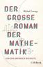 Der große Roman der Mathematik