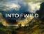 Into the Wild - Abenteuer Landschaftsmalerei 2020