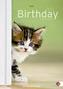 Birthday Calendar - Katzenkinder