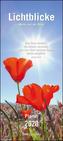 Lichtblicke Planer 2020 - Wandkalender mit 3 Spalten