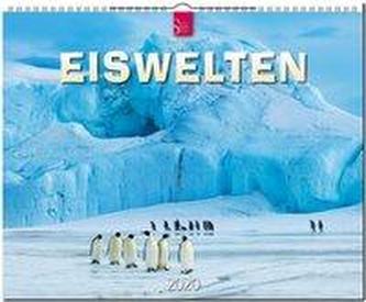 Eiswelten 2020