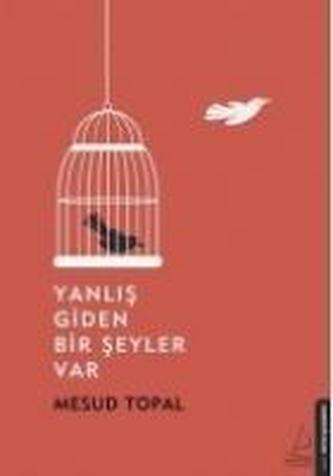 Yanlis Giden Bir Seyler Var