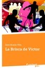 La Brisca de Victor