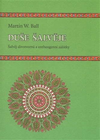 Duše šalvěje