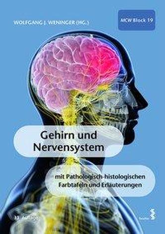 Gehirn und Nervensystem