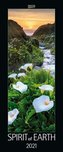 Spirit of Earth 2021