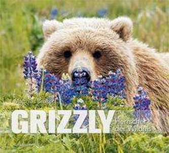 Grizzly