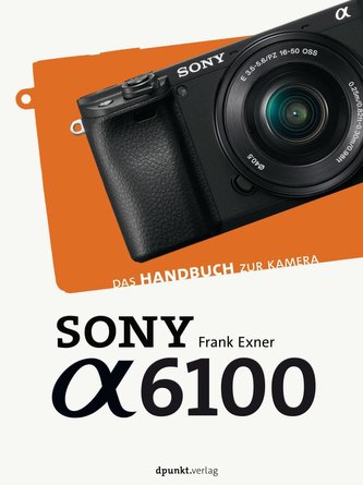 Sony a6100