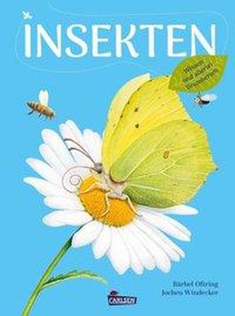 Insekten - Wissen und allerlei Drumherum