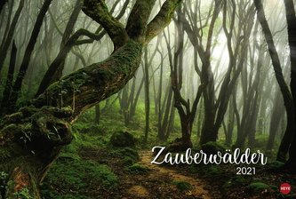 Zauberwälder 2021