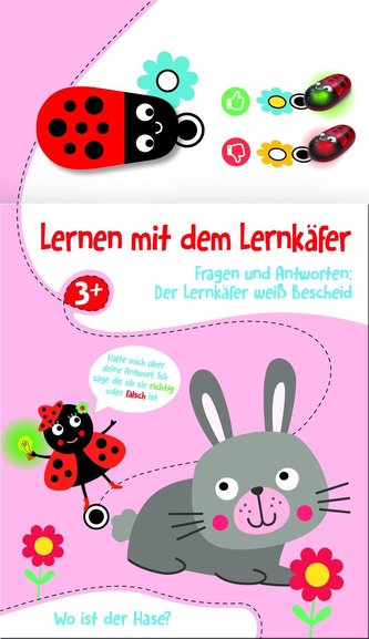 Lernen mit dem Lernkäfer - Hase