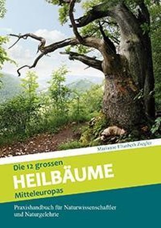 Die 12 grossen Heilbäume Mitteleuropas