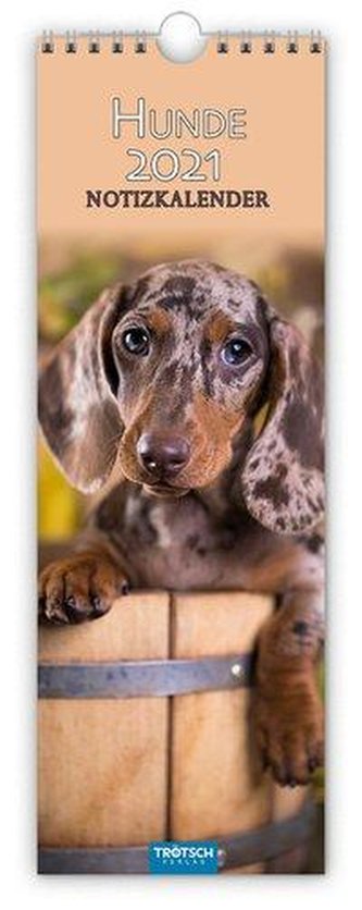 Hunde 2021 Streifenkalender