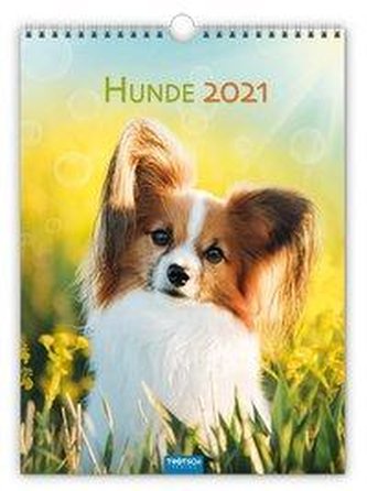 Classickalender Hunde 2021