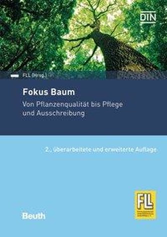 Fokus Baum