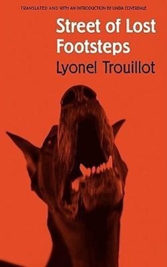 Street of Lost Footsteps: Rue Des Pas-Perdus