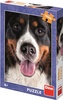 Puzzle 300 XL Chlpatý pes