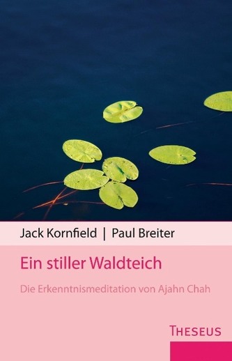 Ein stiller Waldteich