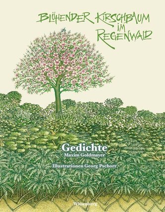 Blühender Kirschbaum im Regenwald