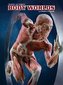 BODY WORLDS. La Mostra Originale (Ausstellungskatalog Italienisch)