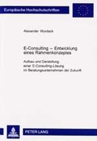 E-Consulting - Entwicklung eines Rahmenkonzeptes