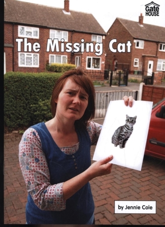 The Missing Cat