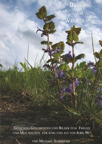 Blumen am Wegesrand