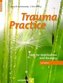 Trauma Practice