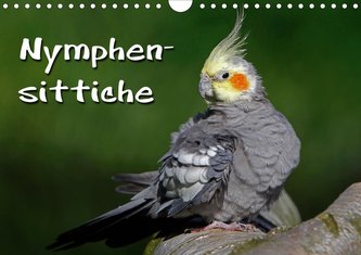 Nymphensittiche (Wandkalender 2021 DIN A4 quer)