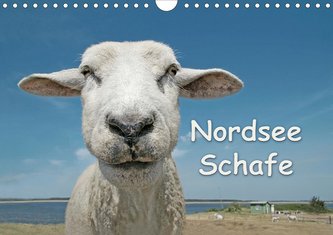 Nordsee Schafe (Wandkalender 2021 DIN A4 quer)