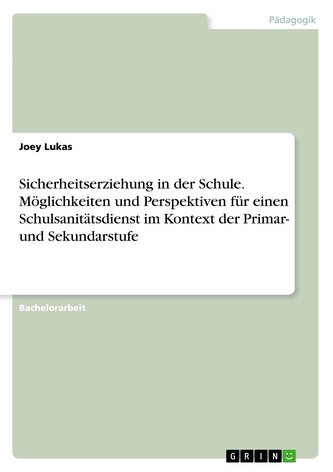 Sicherheitserziehung in der Schule. Möglichkeiten und Perspektiven für einen Schulsanitätsdienst im Kontext der Primar- und Seku