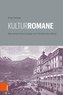 Kulturromane