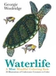 WATERLIFE: A MINI MINDFUL COLORING BOOK