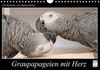 Graupapageien mit Herz (Wandkalender 2021 DIN A4 quer)