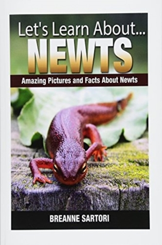 NEWTS