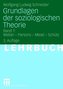 Grundlagen der soziologischen Theorie 1