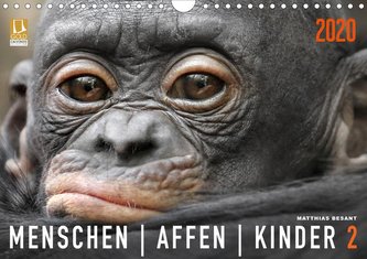 MENSCHENAFFENKINDER 2 (Wandkalender 2020 DIN A4 quer)