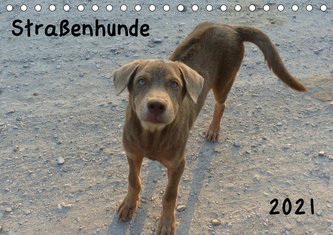 Straßenhunde 2021 (Tischkalender 2021 DIN A5 quer)