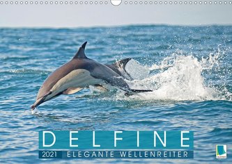 Delfine: Elegante Wellenreiter (Wandkalender 2021 DIN A3 quer)