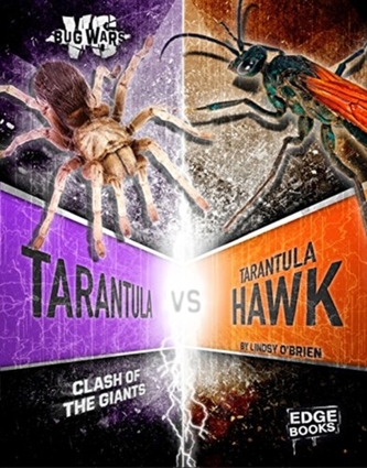 TARANTULA VS TARANTULA HAWK