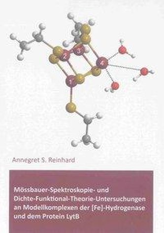 Mössbauer-Spektroskopie-  und Dichte-Funktional-Theorie-Untersuchungen an Modellkomplexen der [Fe]-Hydrogenase und dem Protein L